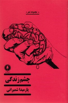چشم زندگی