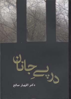 در پی جانان