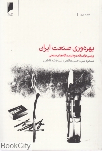 بهره وری صنعت ایران
