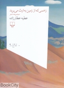 زخمی که از زمین به ارث می برید (مجموعه شعر)