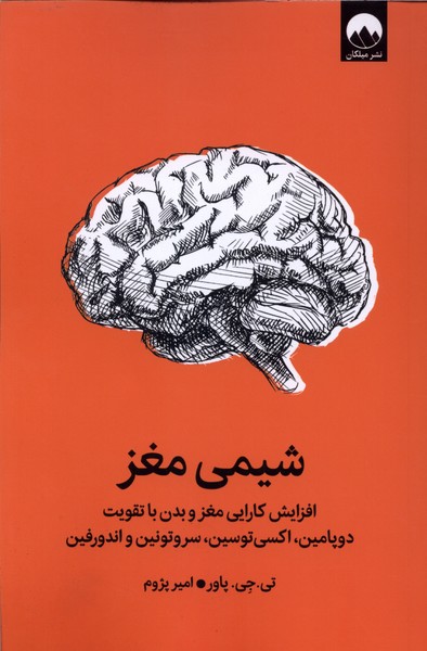شیمی مغز افزایش کارایی مغز و بدن 