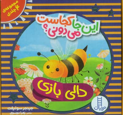 کیف کتاب دالی بازی این جا کجاست می دونی (4جلدی  باجعبه)