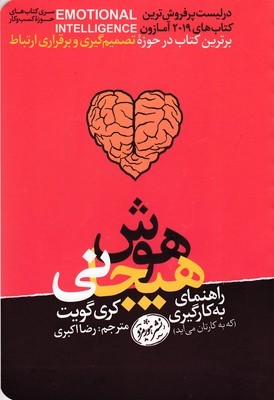 راهنمای به کارگیری هوش هیجانی
