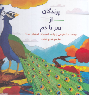 پرندگان از سر تا دم