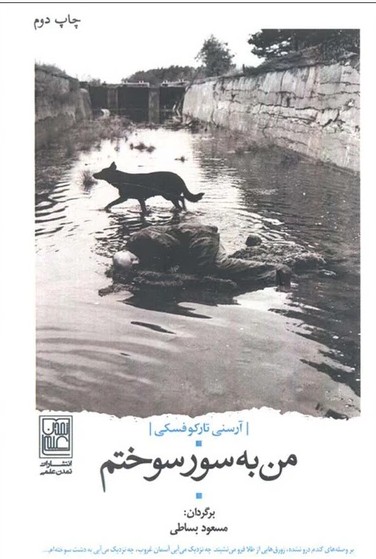 من به سور سوختم