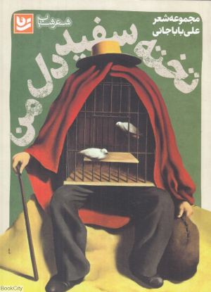 تخته سفید دل من (شعر شباب 13)