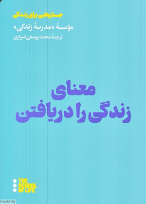 معنای زندگی را دریافتن (جستارهایی برای زندگی)