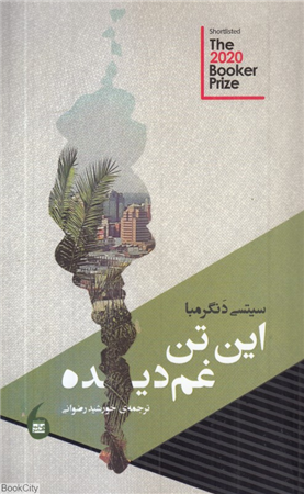 این تن غم دیده