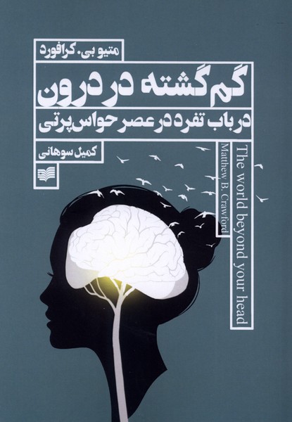 گم گشته در درون