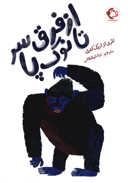 از فرق سر تا نوک پا
