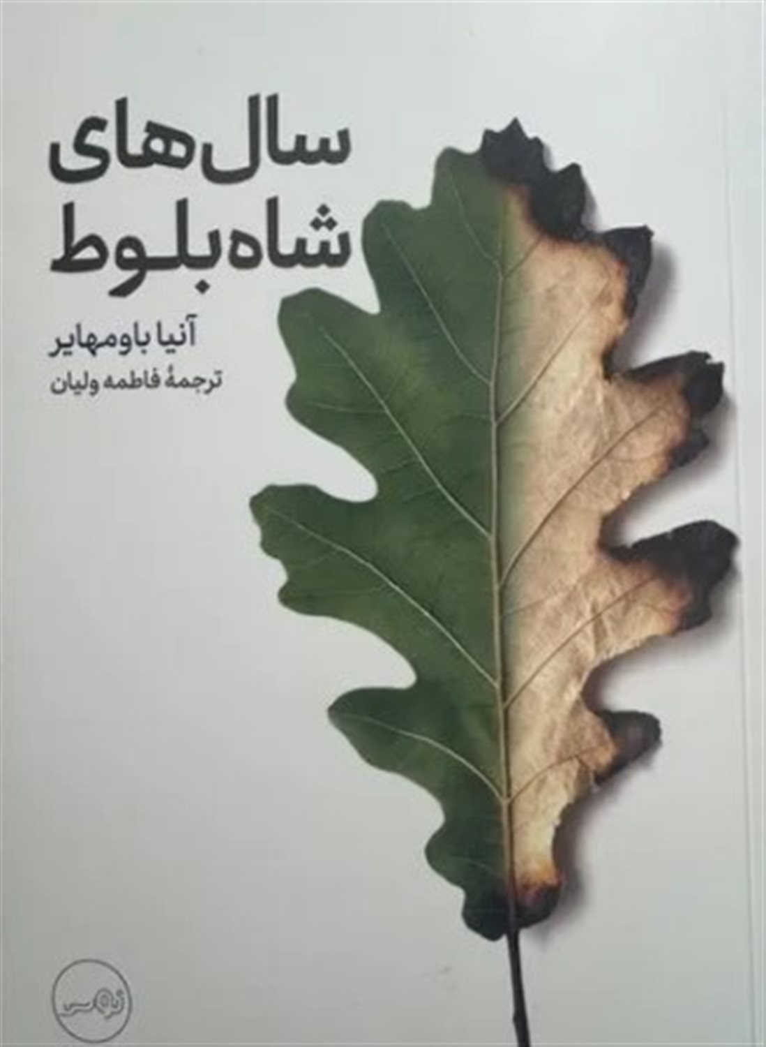 سال های شاه بلوط