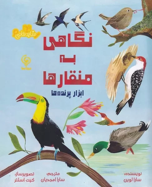 شاید ندانی نگاهی به منقارها ابزار پرنده ها 