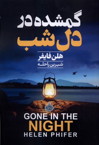 گمشده در دل شب