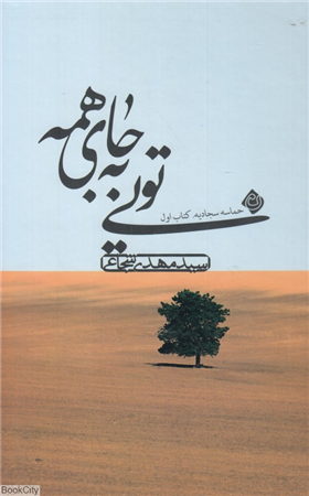 تویی به جای همه (حماسه سجادیه 1)