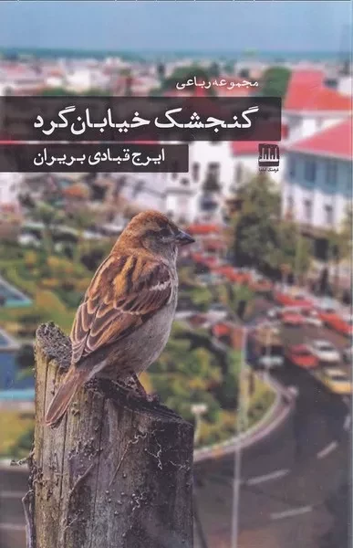 گنجشک خیابان گرد 