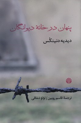 پنهان در خانه دیوانگان