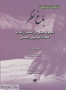باغ نظر