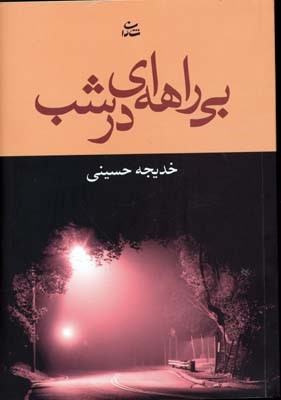 بی راهه ای در شب