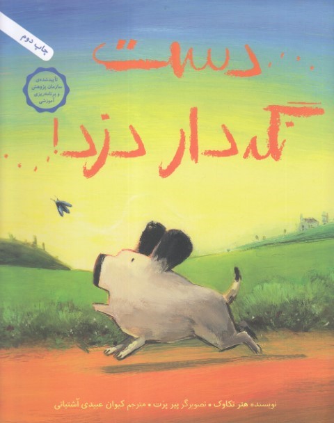 دست نگه دار دزد (شومیز) (تصویرگر پیر پرت)