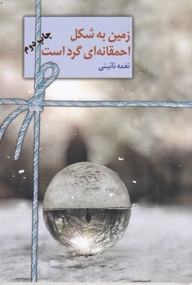 زمین به شکل احمقانه ای گرد است
