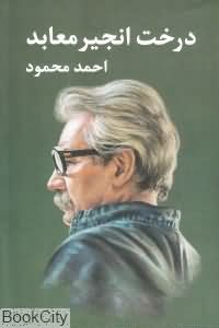 درخت انجیر معابد (2 جلدی)