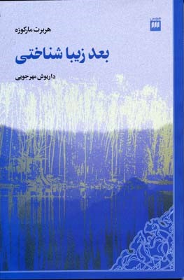 بعد زیبا شناختی 