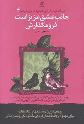 شما عظیم تر از آنی هستید4